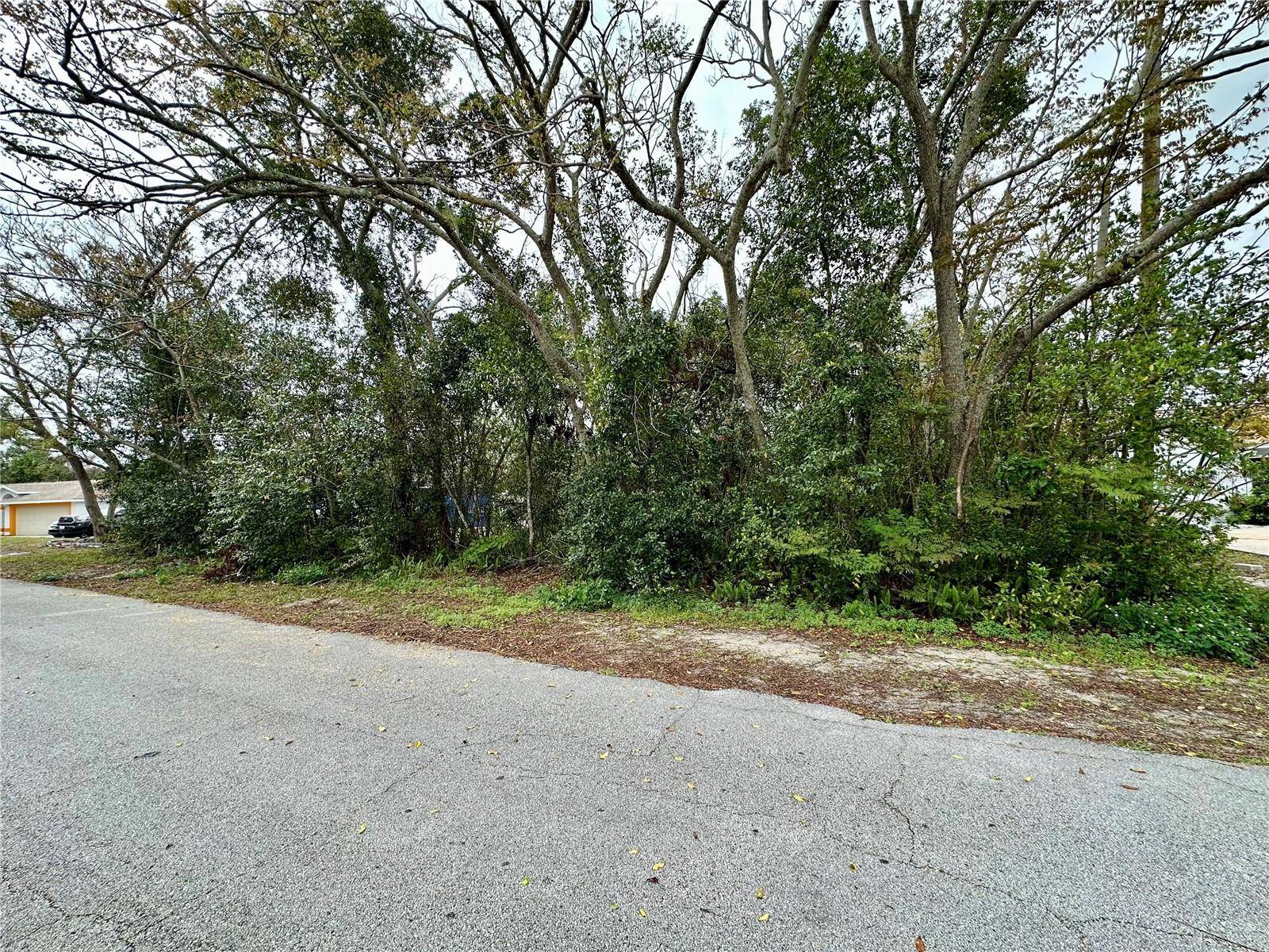 761 ARLENE DR, Deltona, FL 32725