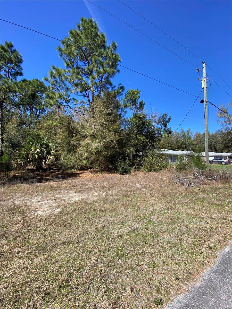 8630 N CATAPANE LOOP, Crystal River, FL 34428