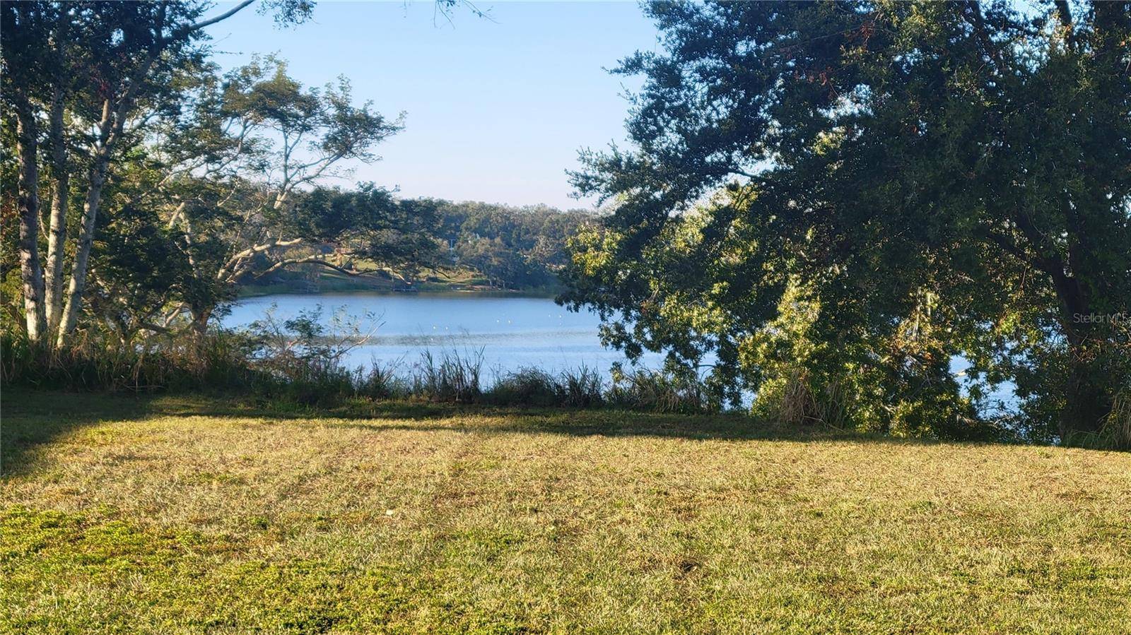 16915 FLORENCE VIEW DR, Montverde, FL 34756