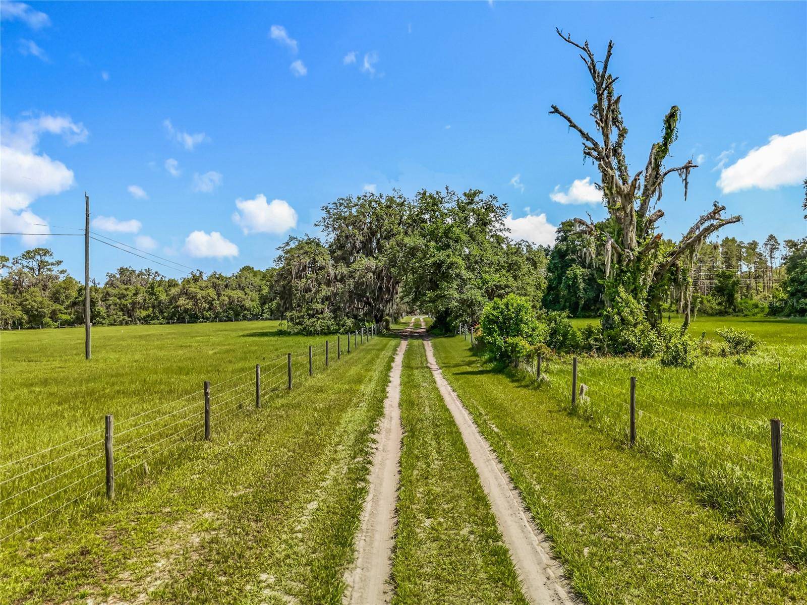 41204 EMERALDA ISLAND RD, Leesburg, FL 34788