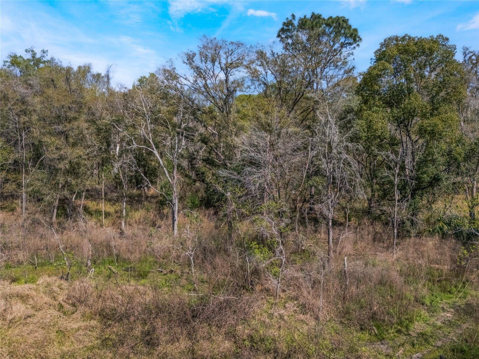 2208 EISENHOWER ST, Inverness, FL 34453