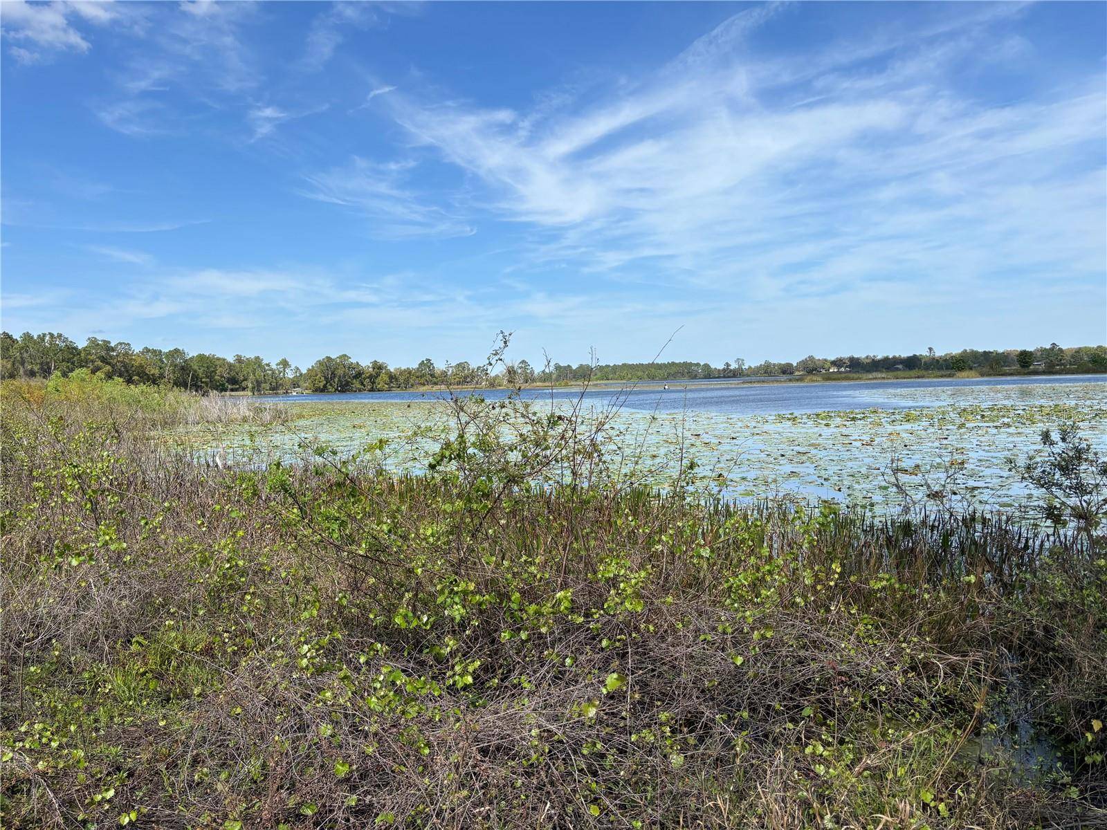 1970 MCBRIDE RD, Seville, FL 32190