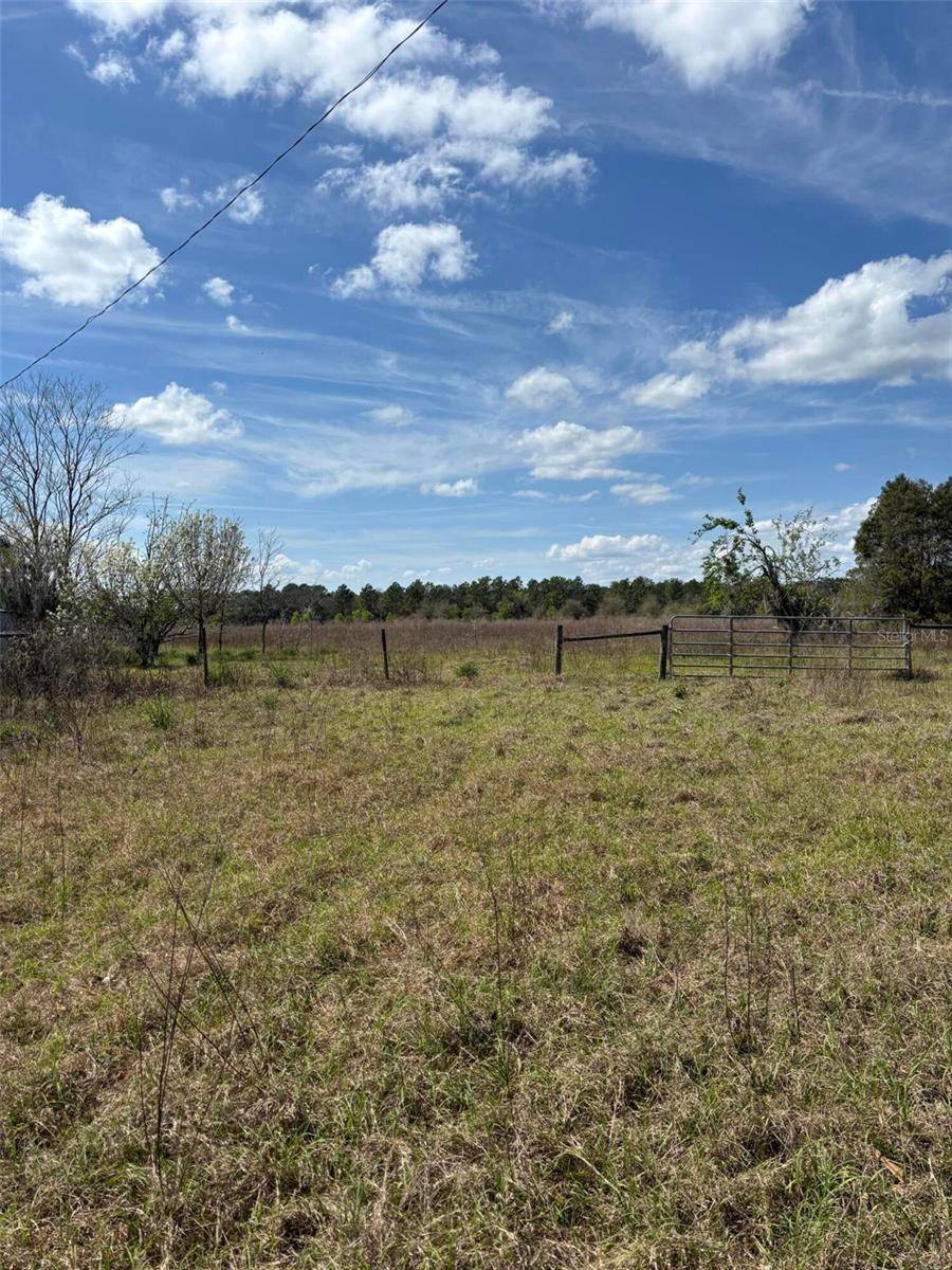 1970 MCBRIDE RD, Seville, FL 32190
