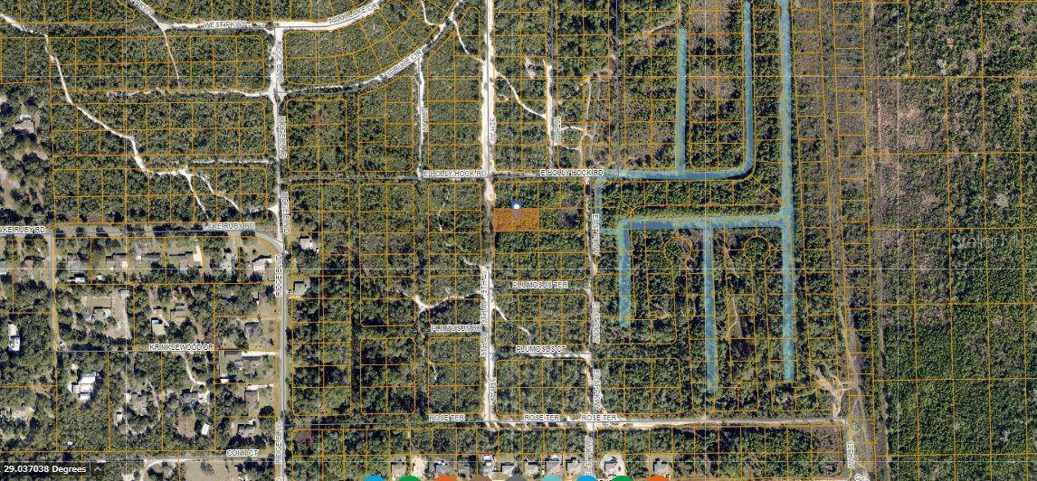 HOLLYHOCK E, Deland, FL 32724