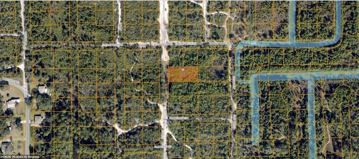 HOLLYHOCK E, Deland, FL 32724