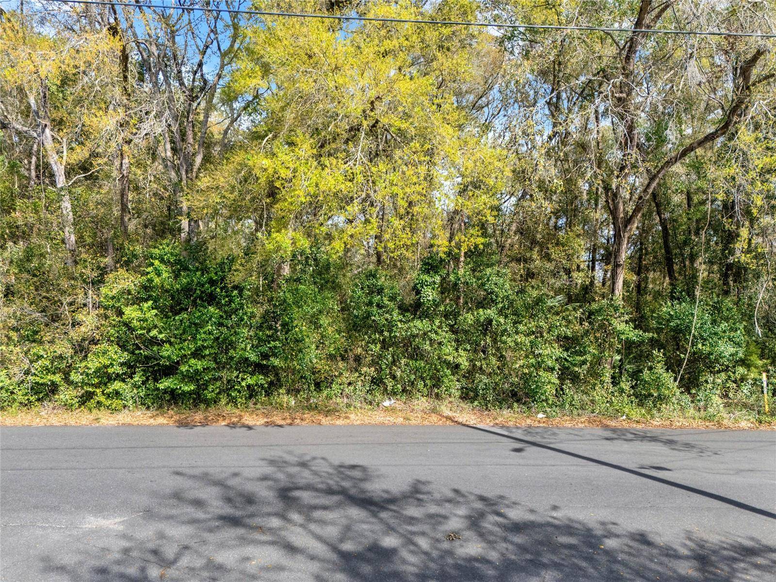 709 S SMITH AVE, Inverness, FL 34453