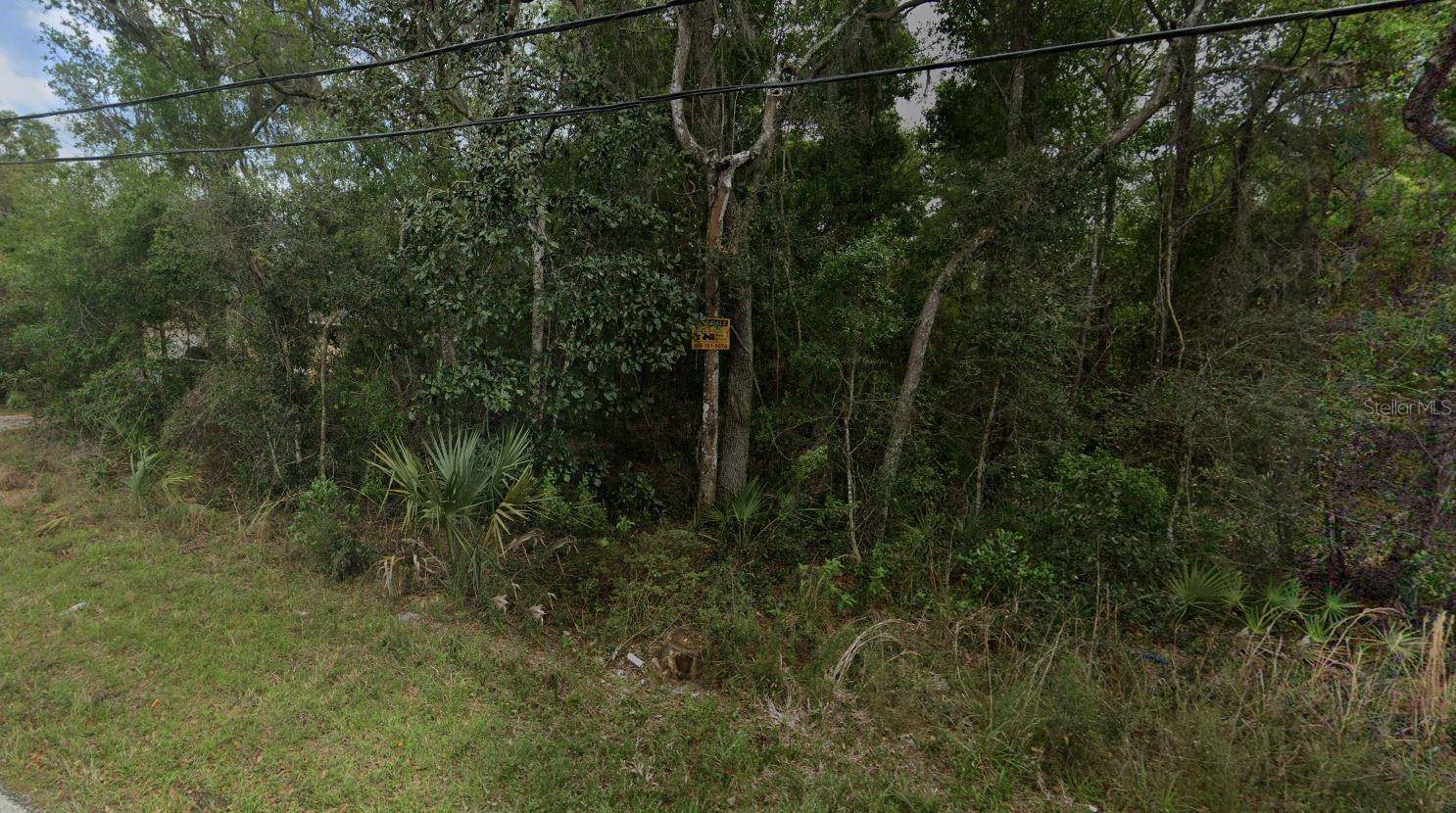 REYNOLDS RD, De Leon Springs, FL 32130