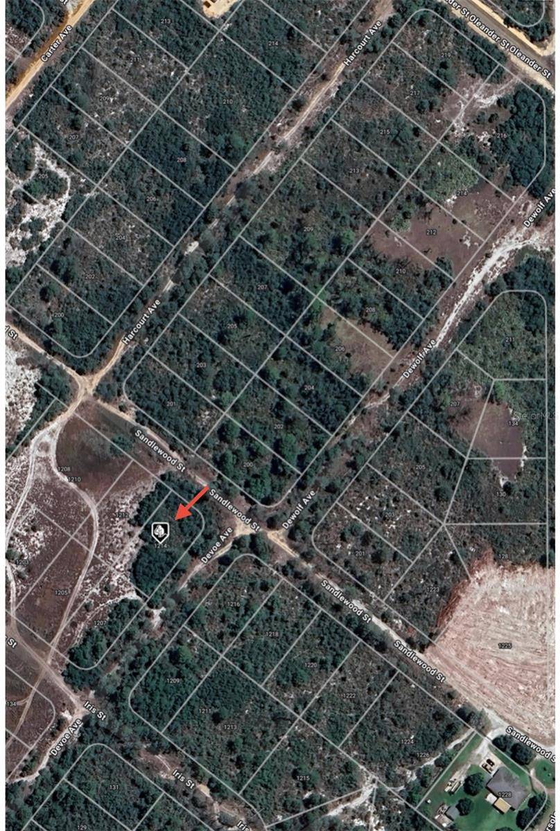 1214 SANDLEWOOD ST, Lake Placid, FL 33852