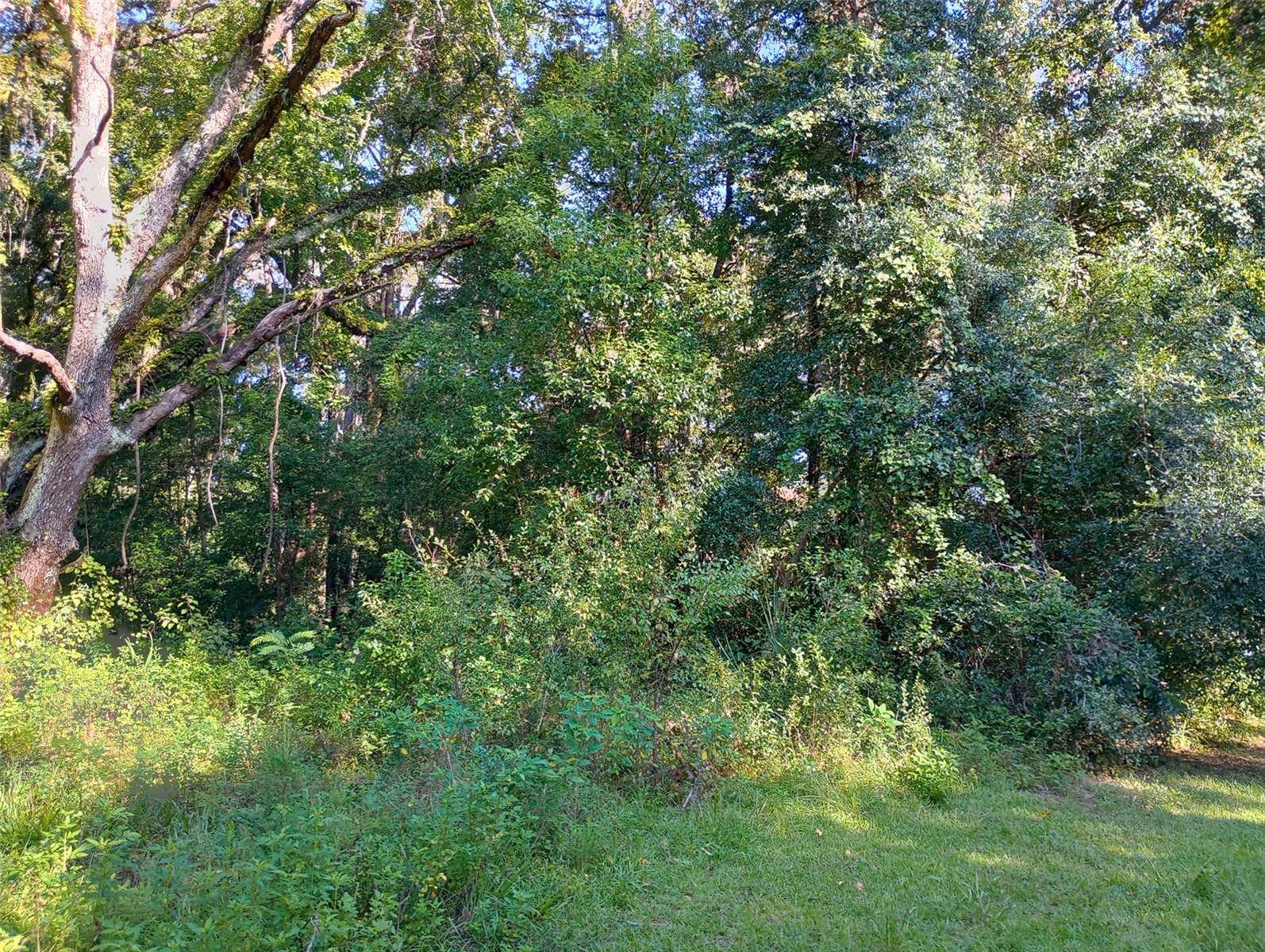 11704 N LANDOVER TERRACE, Citrus Springs, FL 34434