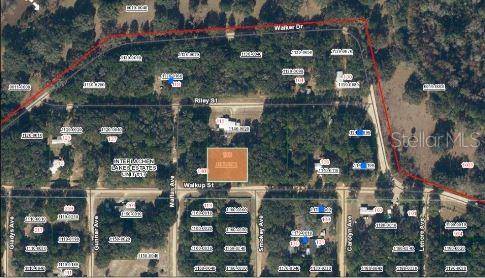 116 WALKUP ST, Interlachen, FL 32148