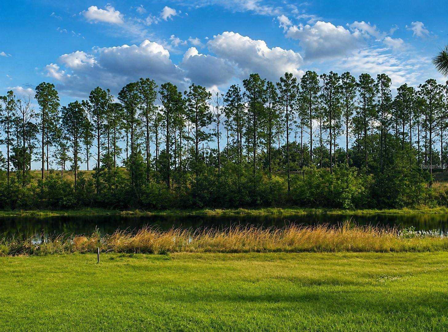 LAKE DENISE BLVD, Clermont, FL 34711