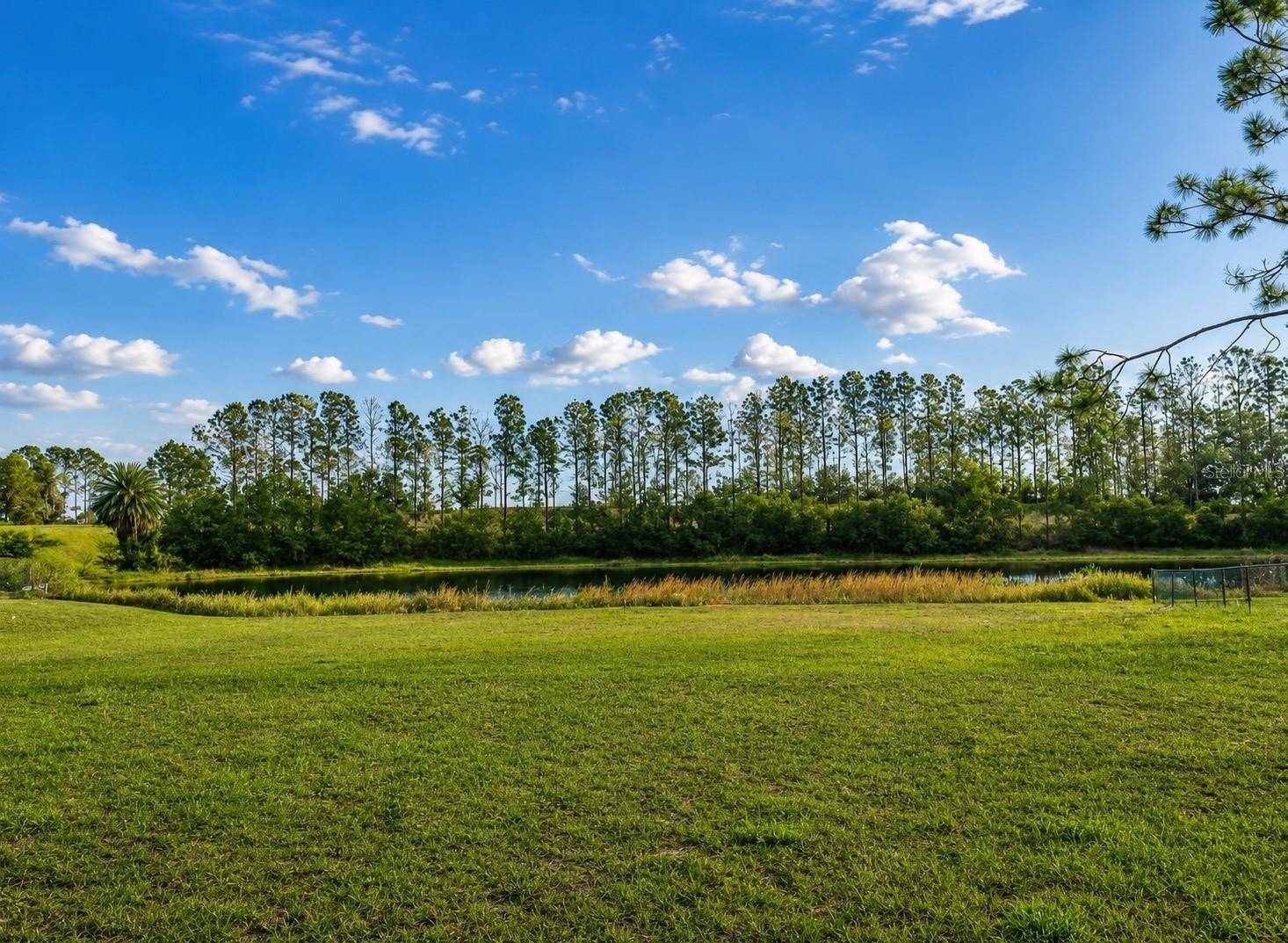 LAKE DENISE BLVD, Clermont, FL 34711