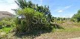 9193 ARBERG ST, Port Charlotte, FL 33981