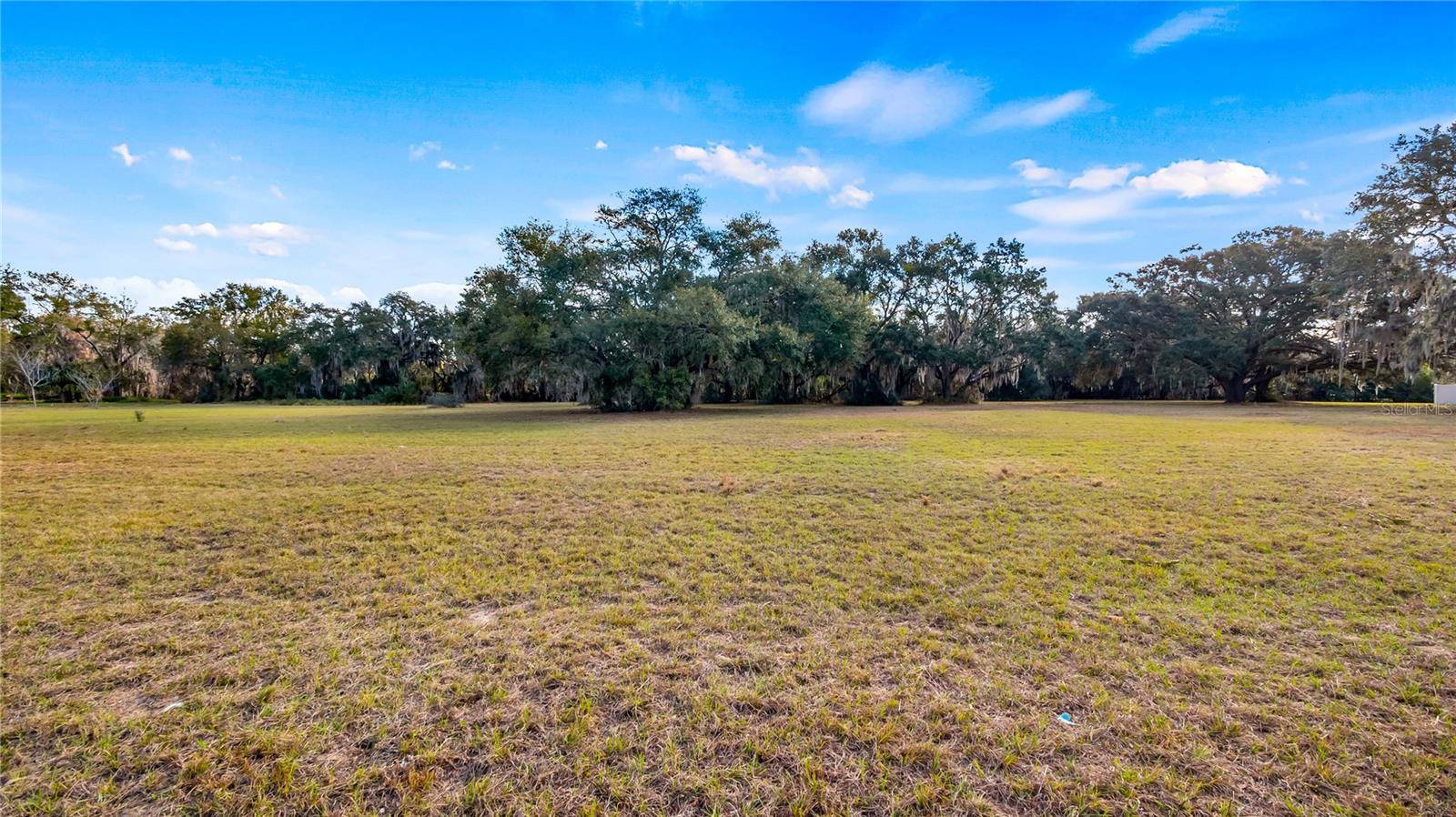 WOODLEA RD, Tavares, FL 32778