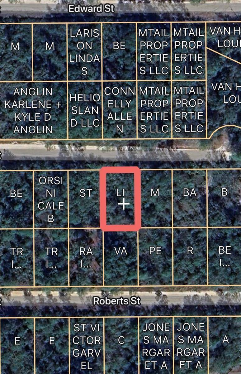 00 BASFORD ST, Interlachen, FL 32148