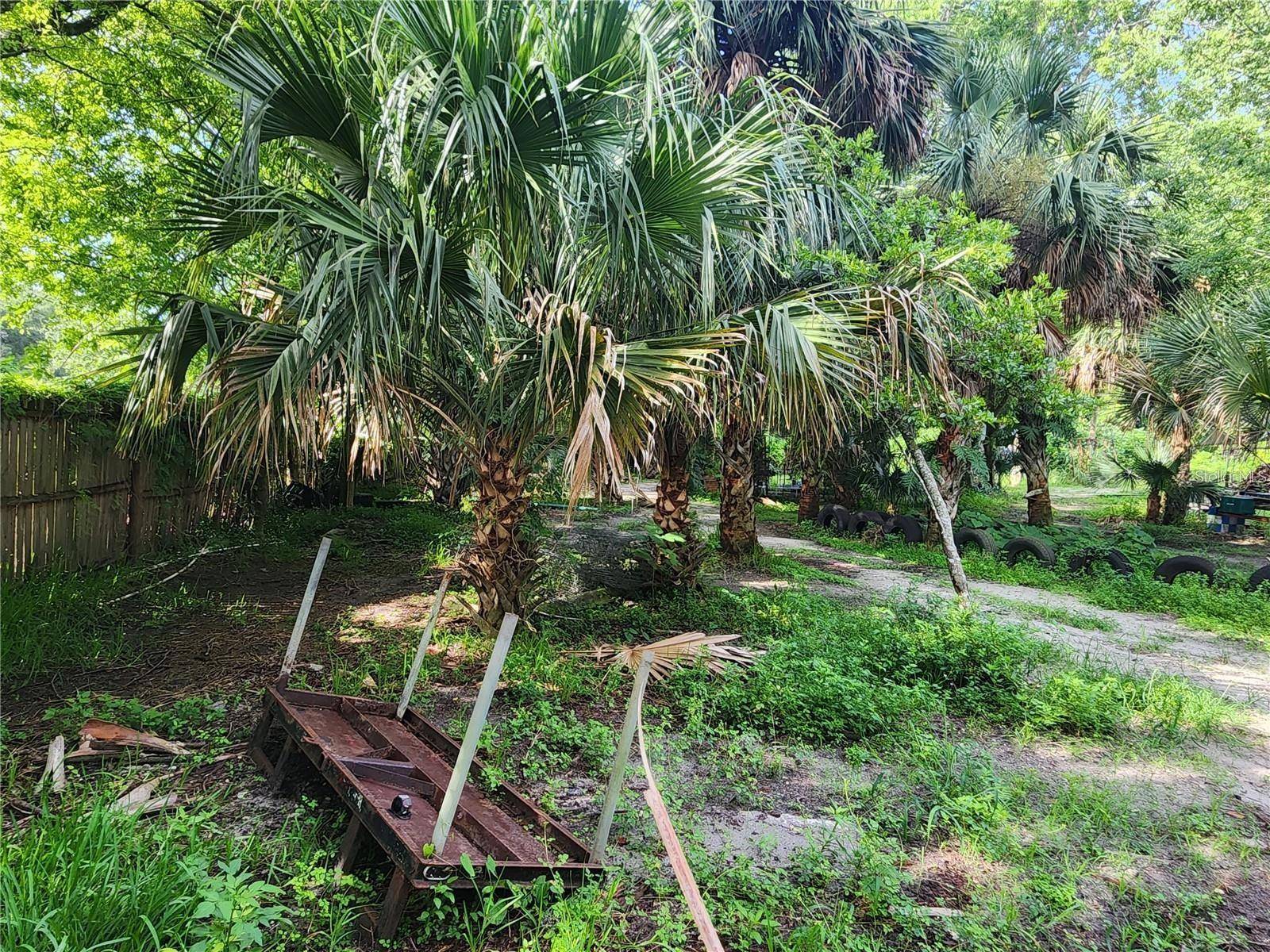 SANFORD AVE, Sanford, FL 32773