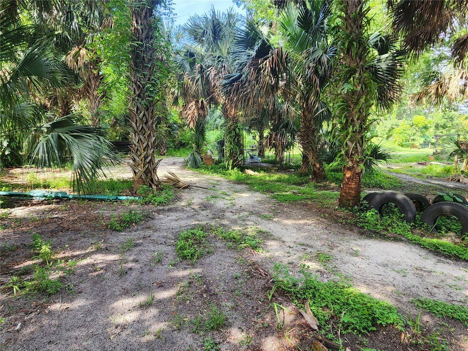 SANFORD AVE, Sanford, FL 32773