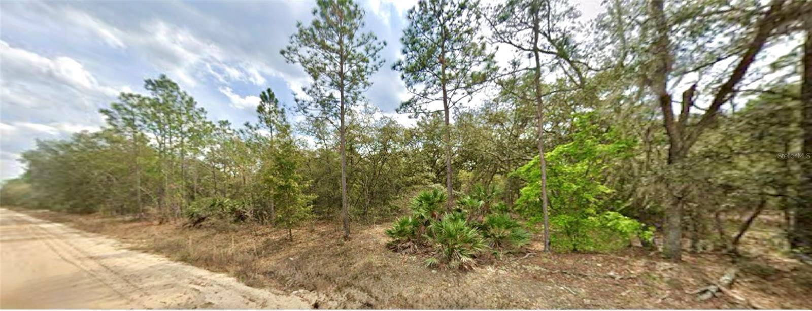 109 DOTTIE ST, Interlachen, FL 32148