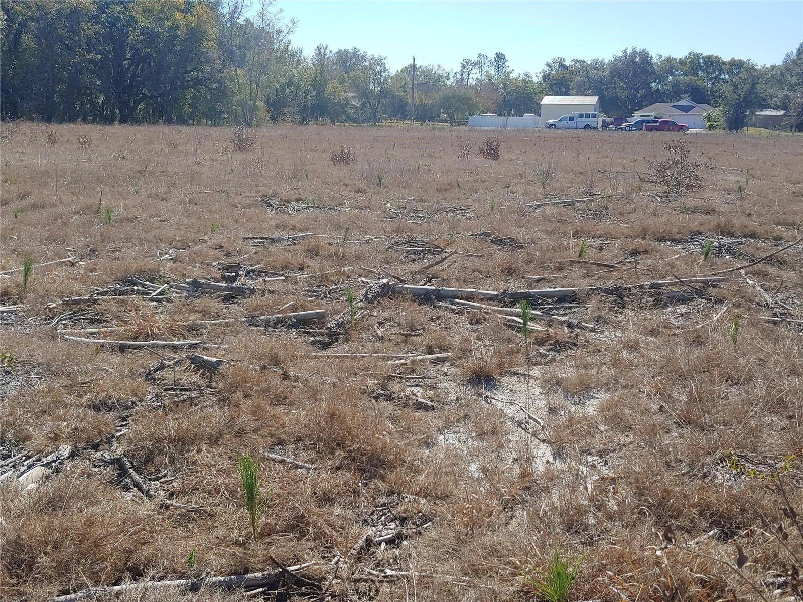 TRAPNELL RD, Plant City, FL 33566