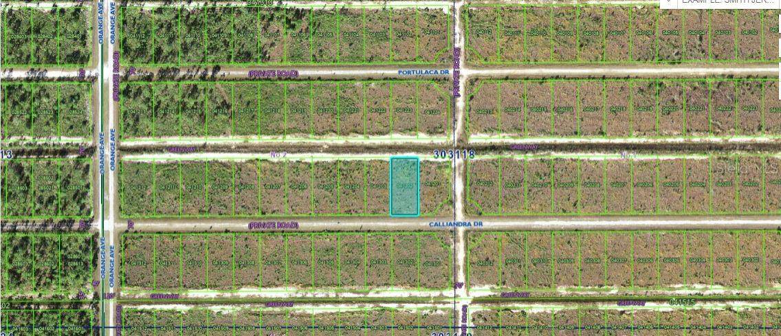 704 CALLIANDRA DR, Indian Lake Estates, FL 33855