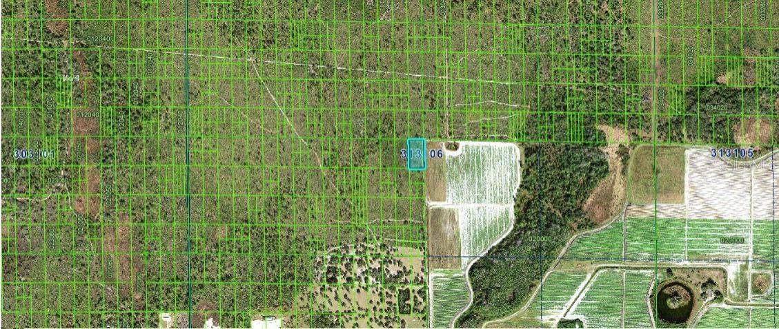 GRAPE HAMMOCK RD, Lake Wales, FL 33898