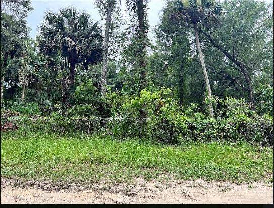 25040 E AVENUE B, Paisley, FL 32767
