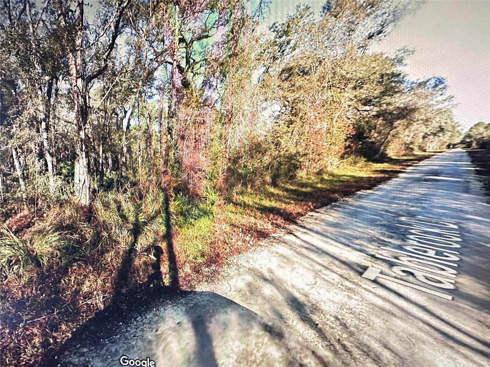 TABLE ROCK DR, Webster, FL 33597
