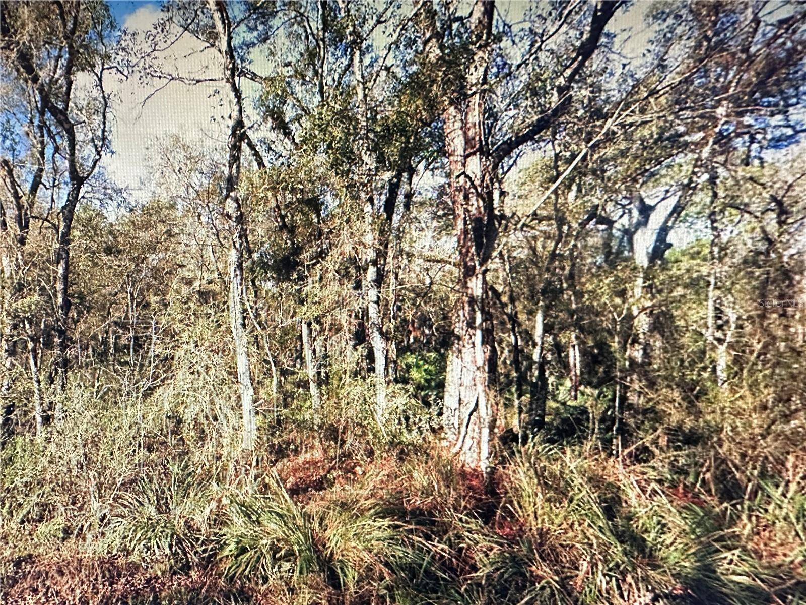 TABLE ROCK DR, Webster, FL 33597