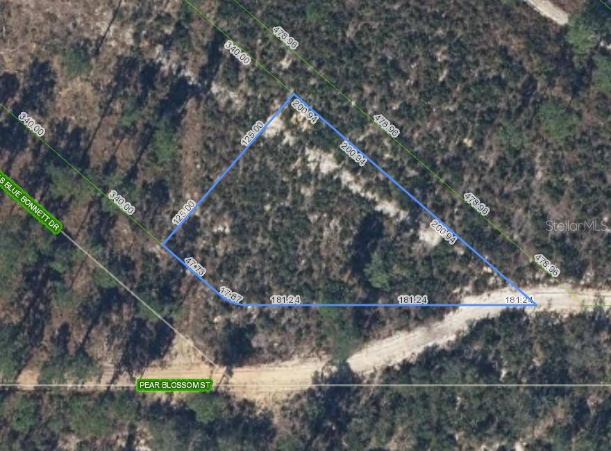 6115 PEAR BLOSSOM ST, Sebring, FL 33876