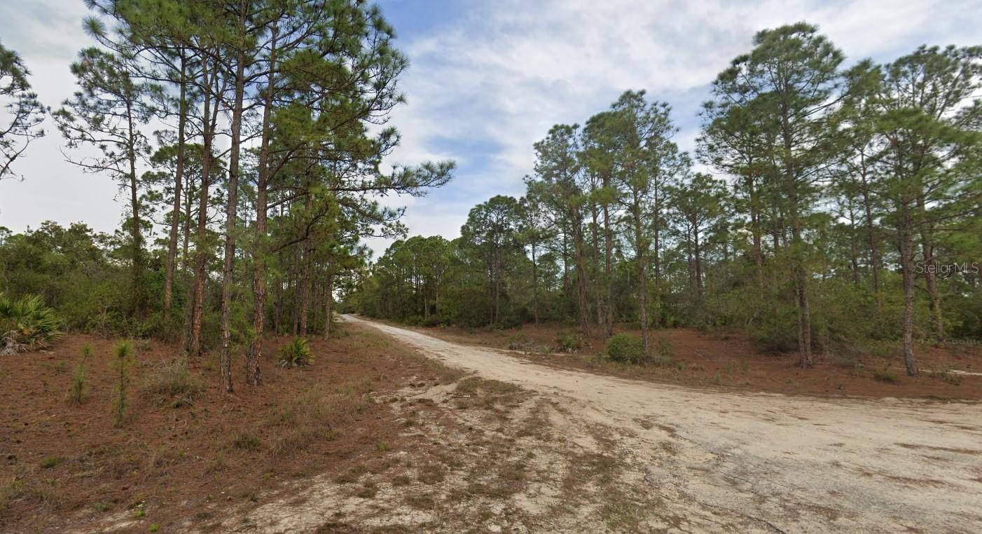 401 WIND ROSE AVE, Lake Placid, FL 33852