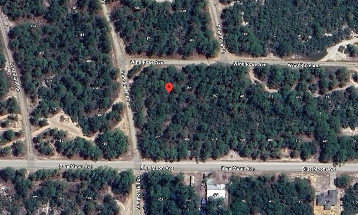 401 WIND ROSE AVE, Lake Placid, FL 33852