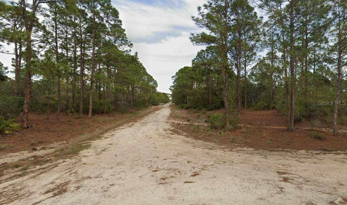 401 WIND ROSE AVE, Lake Placid, FL 33852