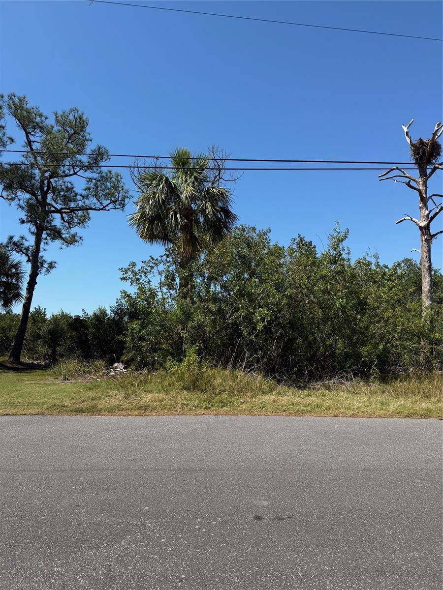 SEA BREEZE DR, Tarpon Springs, FL 34689