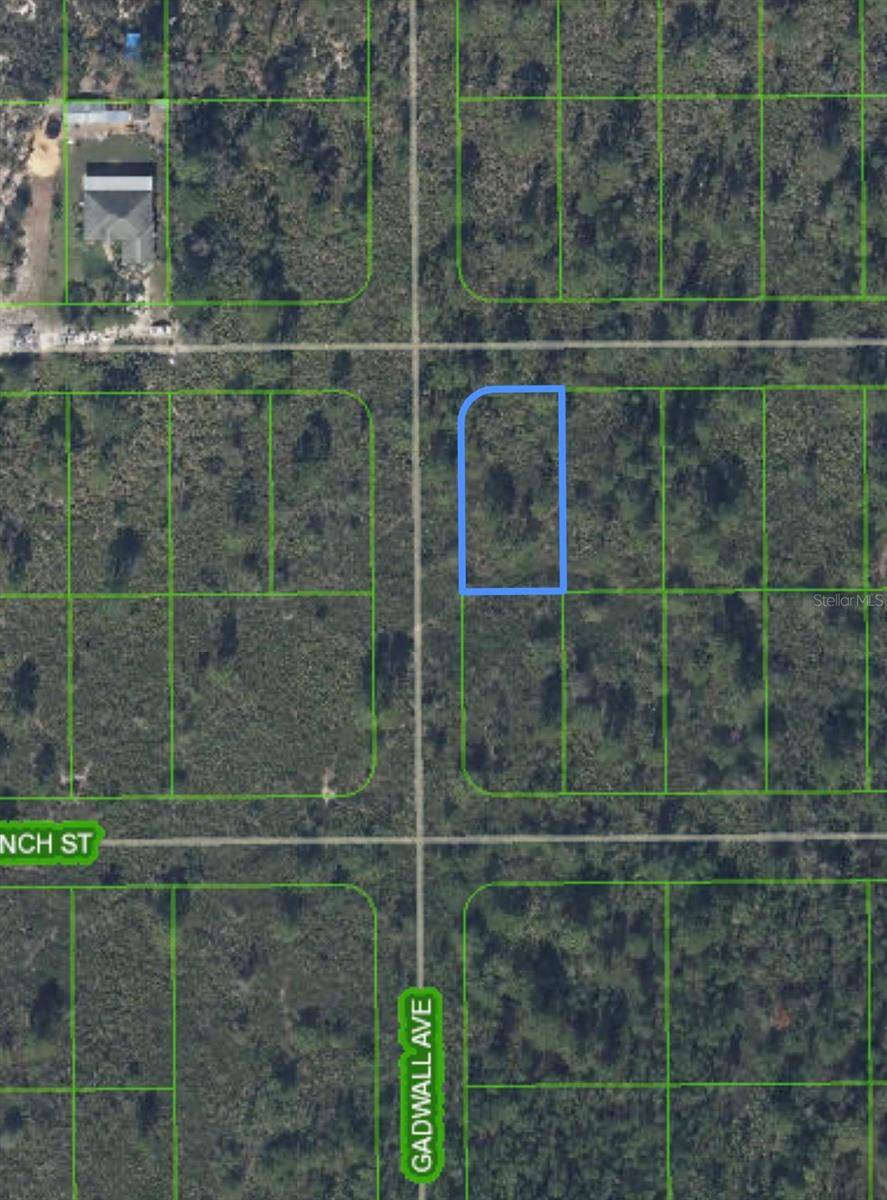 629 GADWALL AVE, Lake Placid, FL 33852
