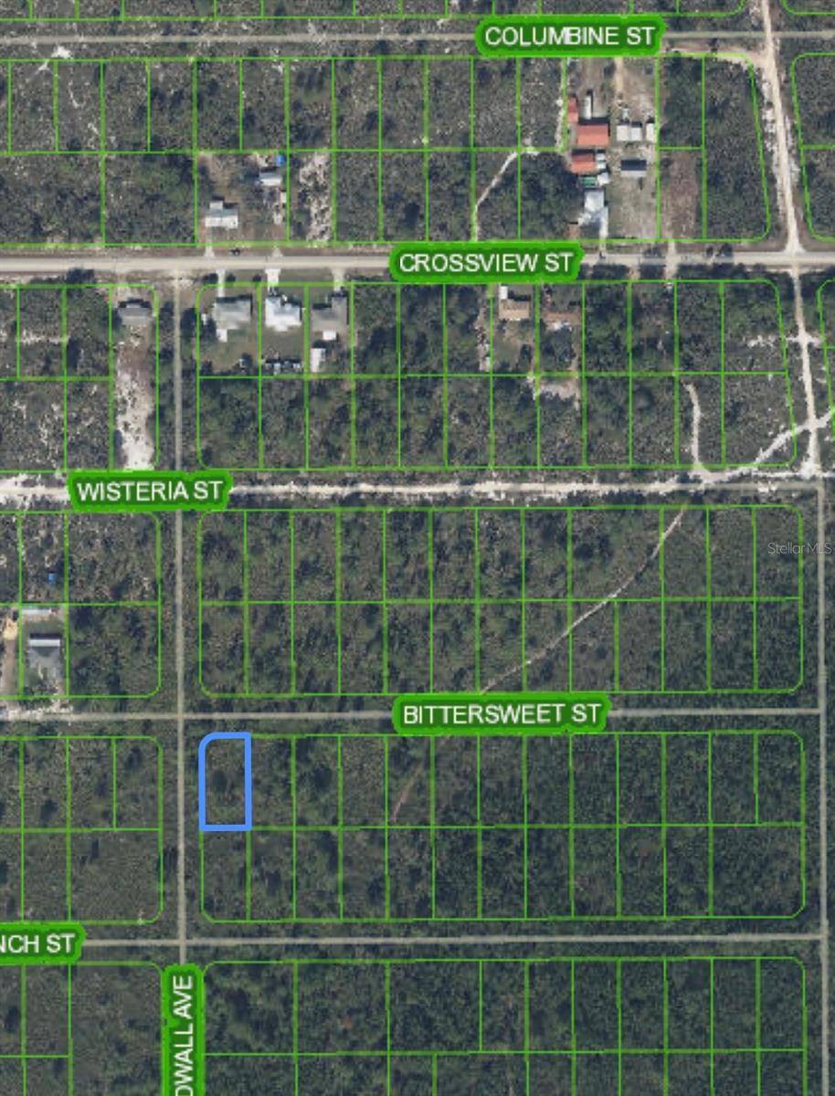 629 GADWALL AVE, Lake Placid, FL 33852
