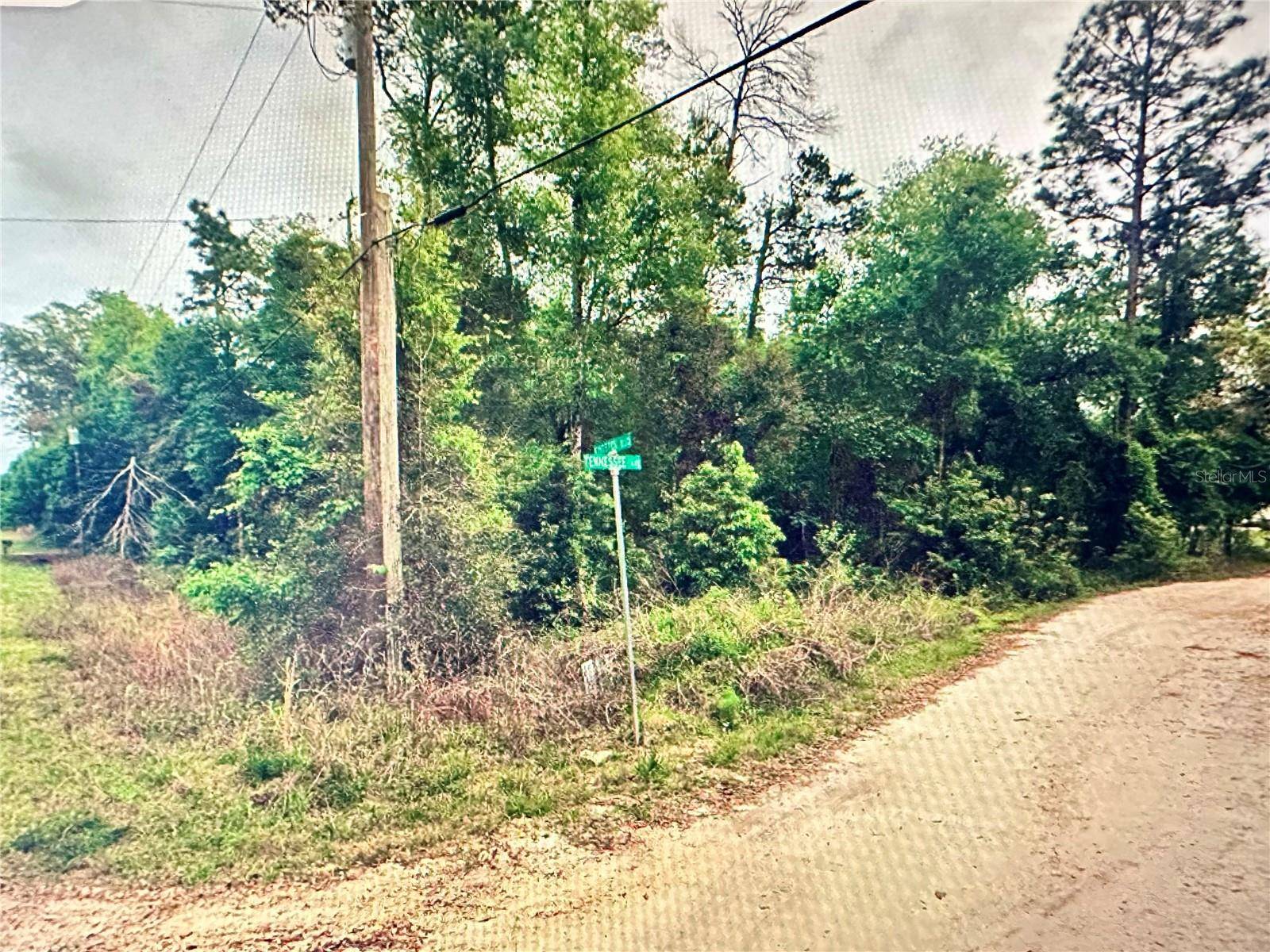 219 KINGSTON BLVD, Satsuma, FL 32189