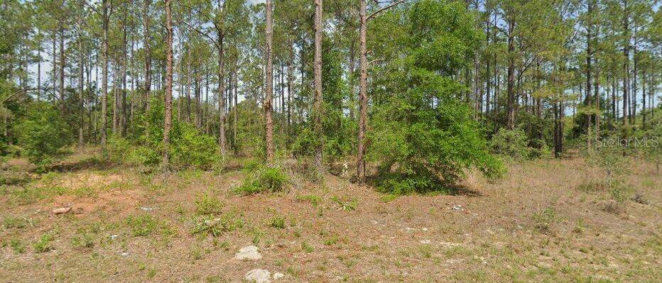 10940 N LETTERWOOD WAY, Dunnellon, FL 34434