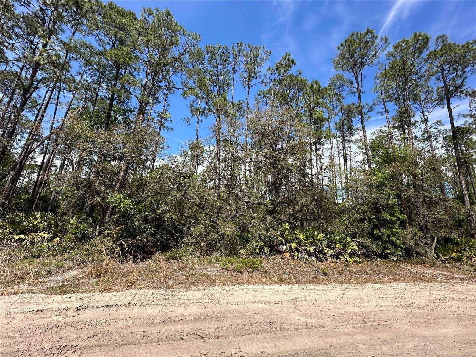 206 HUDSON ST, Interlachen, FL 32148