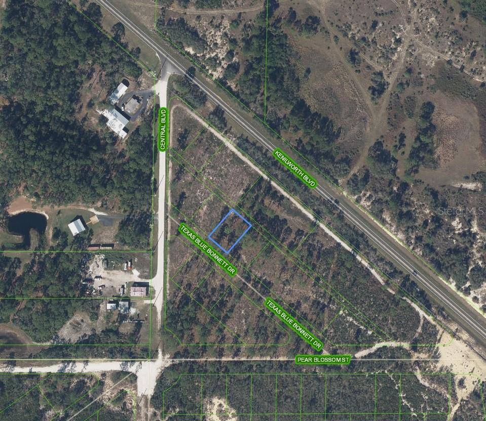 6139 TEXAS BLUE BONNETT DR, Sebring, FL 33876