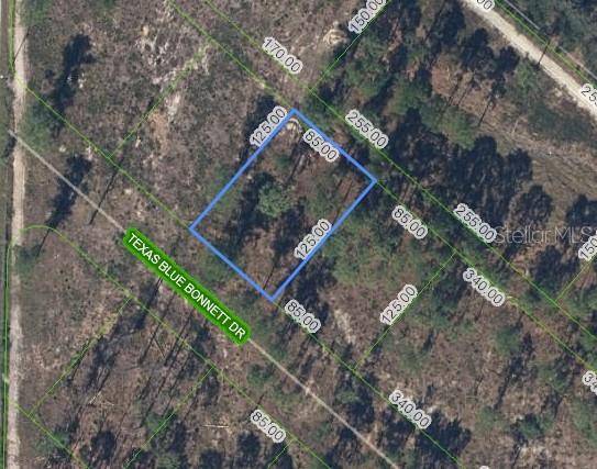 6139 TEXAS BLUE BONNETT DR, Sebring, FL 33876