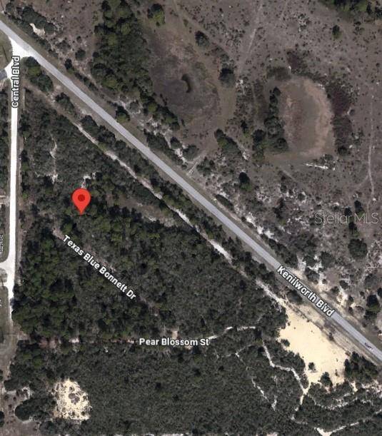 6139 TEXAS BLUE BONNETT DR, Sebring, FL 33876