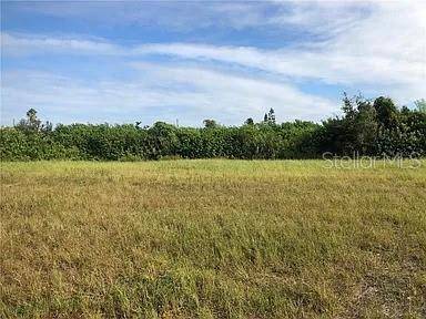 339 NE 19TH TER, Cape Coral, FL 33909