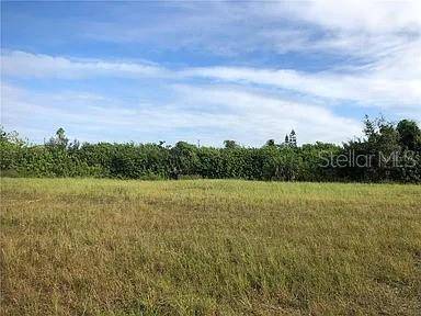 339 NE 19TH TER, Cape Coral, FL 33909