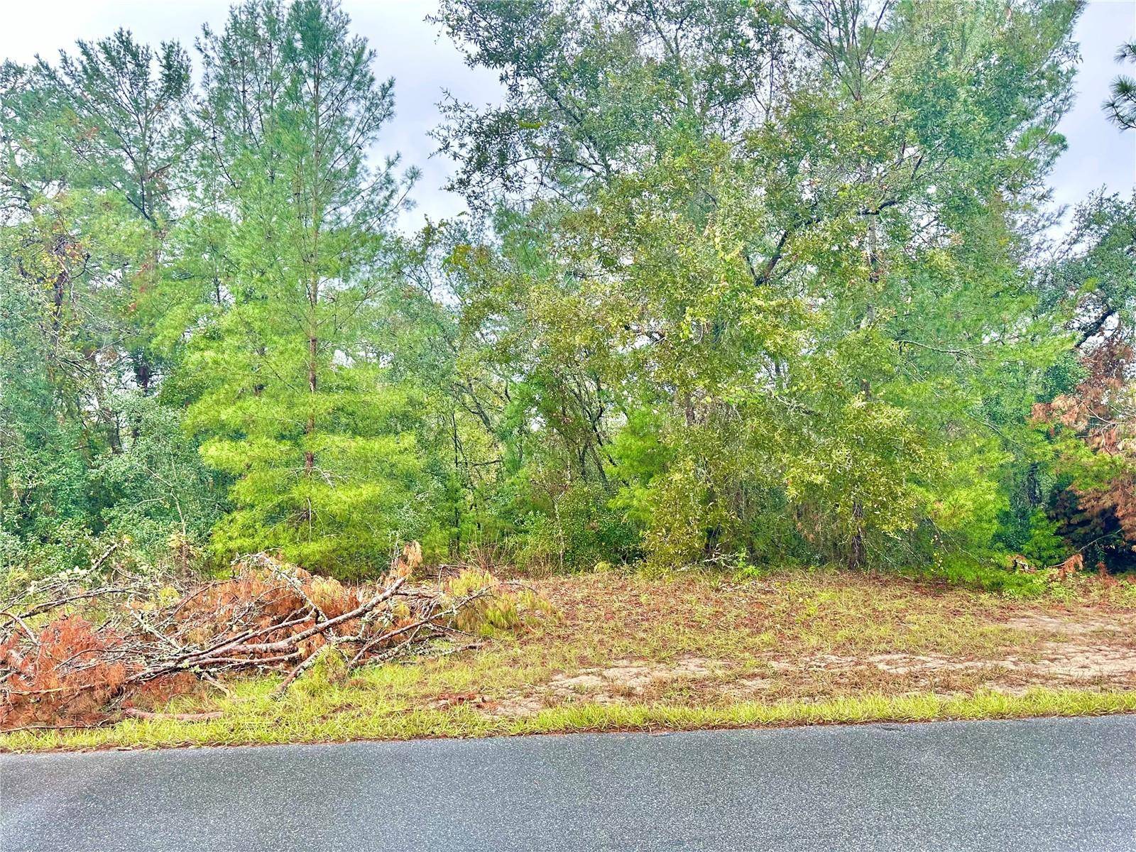 TBD SW 46TH TER #Lot 41, Ocala, FL 34473