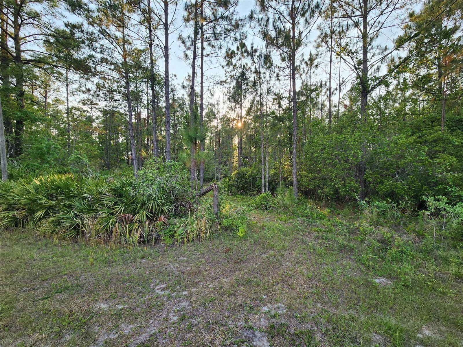LOT 8 TAMARAC ST, Eustis, FL 32736