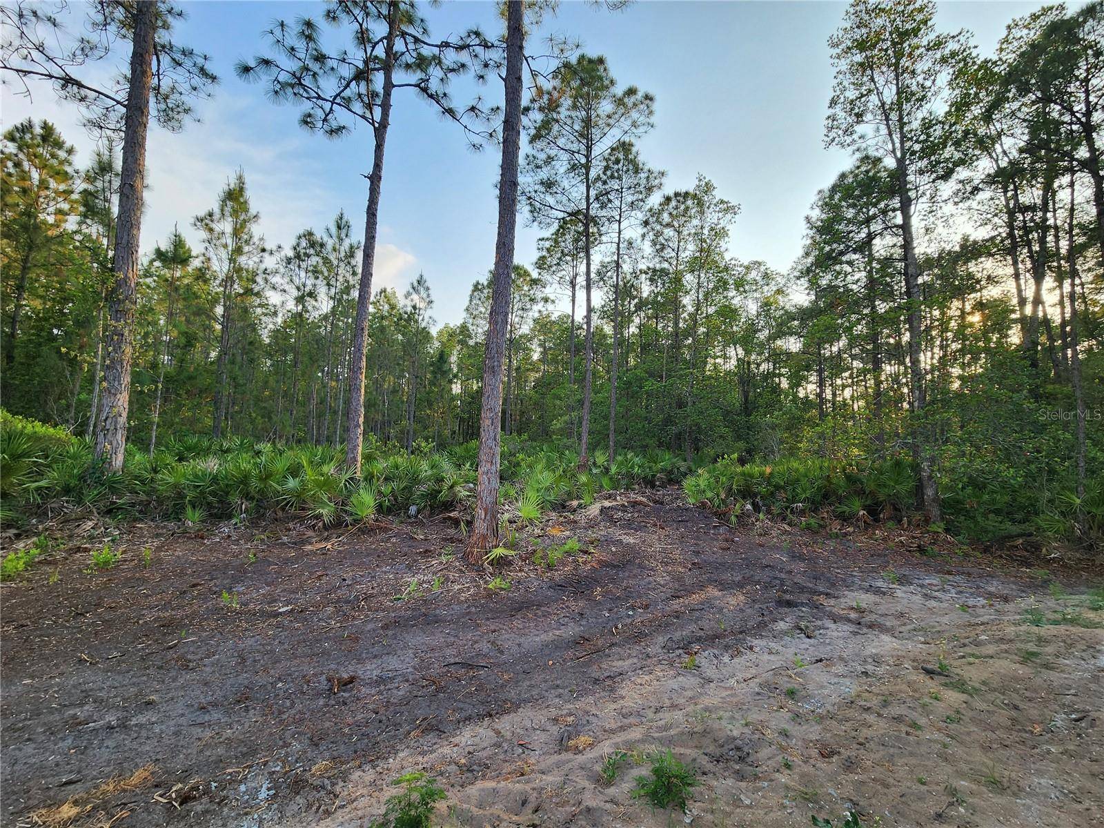 LOT 8 TAMARAC ST, Eustis, FL 32736