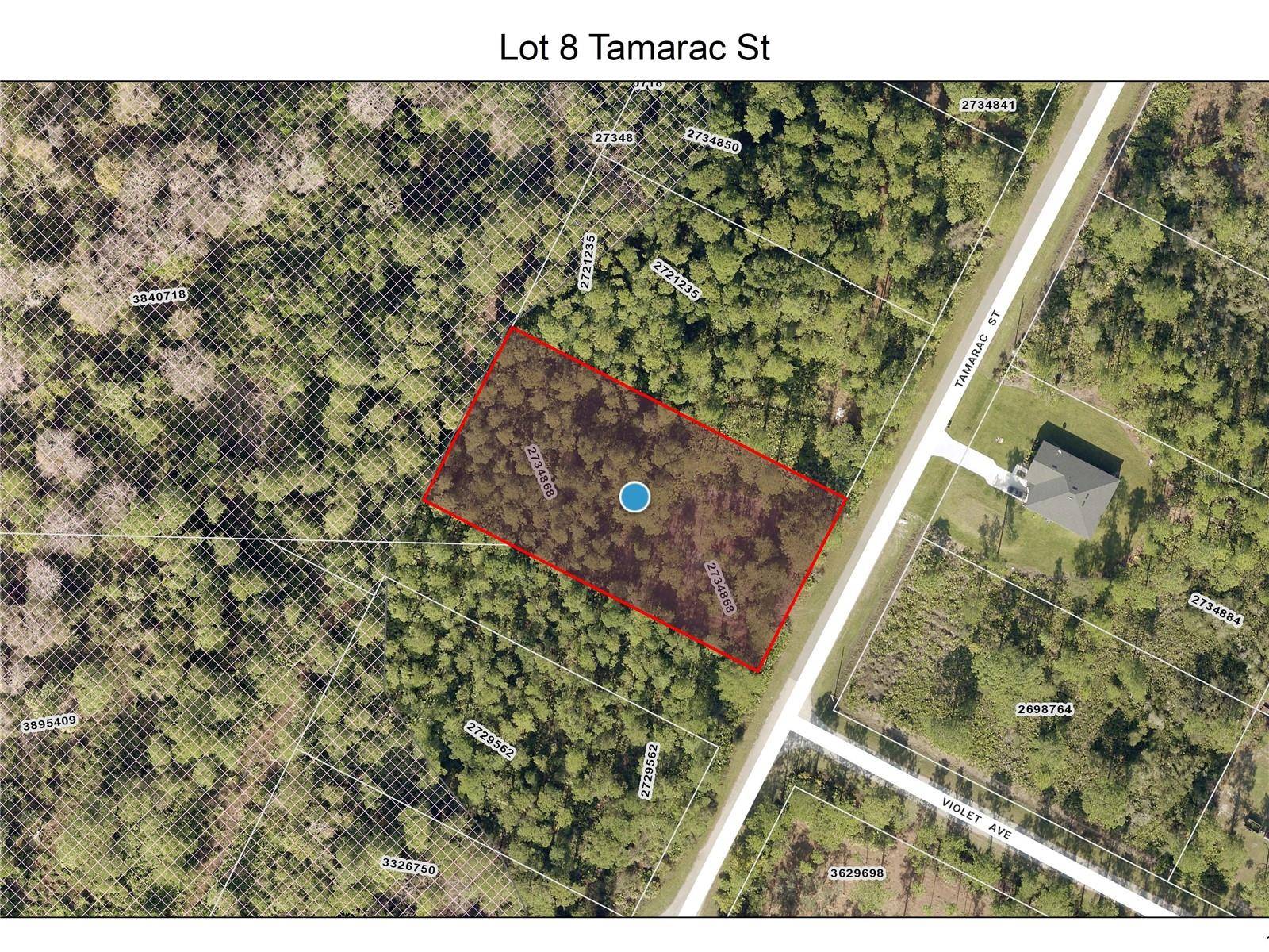 LOT 8 TAMARAC ST, Eustis, FL 32736