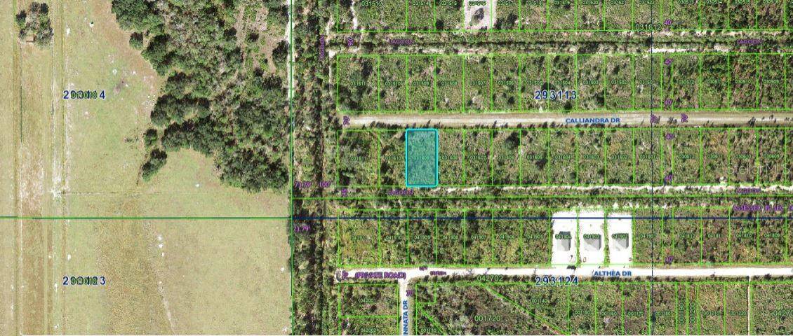 CALLIANDRA DR, Indian Lake Estates, FL 33855