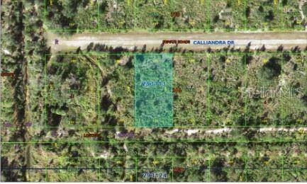 CALLIANDRA DR, Indian Lake Estates, FL 33855