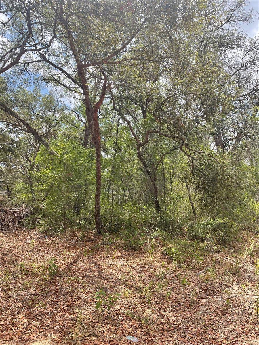 JUNIPER ST, Lady Lake, FL 32159